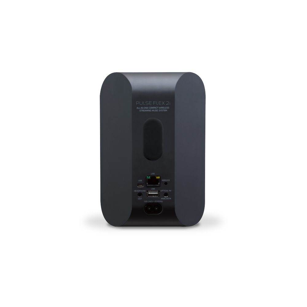 Bluesound PULSE FLEX Portable Wireless Multi-Room Music Streaming Speaker