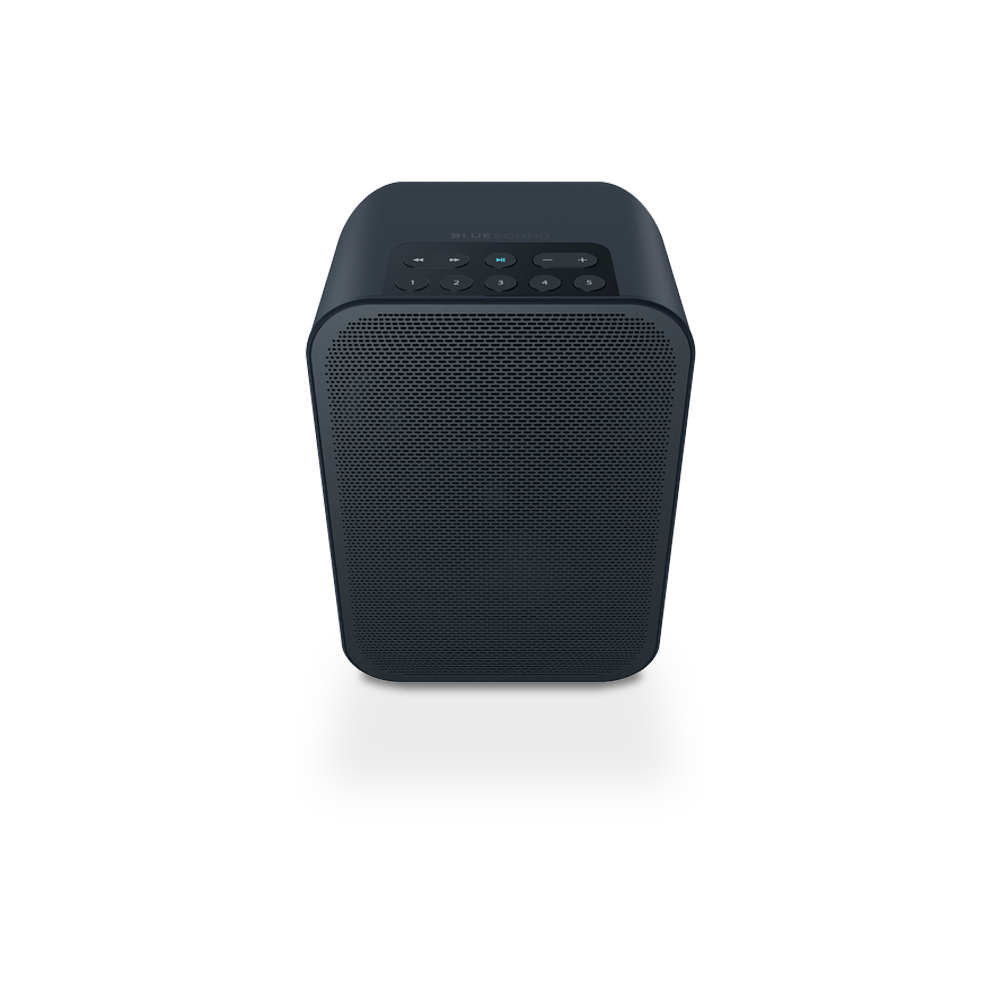 Bluesound PULSE FLEX Portable Wireless Multi-Room Music Streaming Speaker