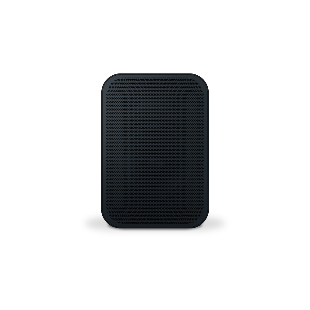 Bluesound PULSE FLEX Portable Wireless Multi-Room Music Streaming Speaker