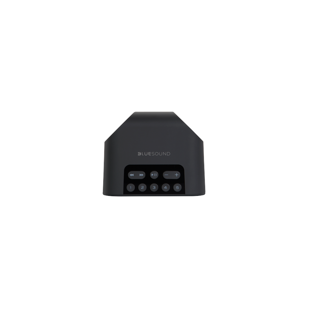 Bluesound PULSE FLEX Portable Wireless Multi-Room Music Streaming Speaker