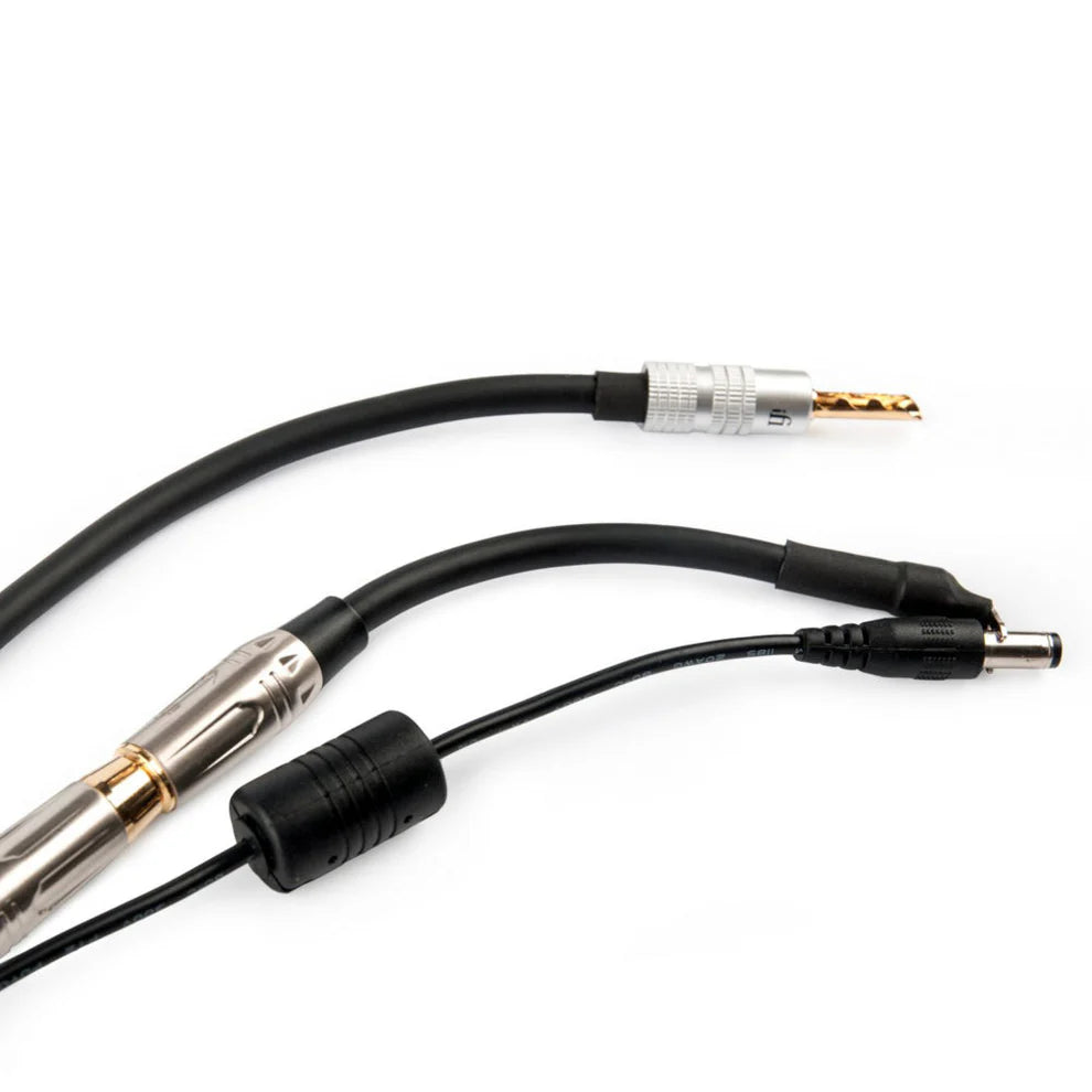 iFi Groundhog+ Ground / Earth Cable System