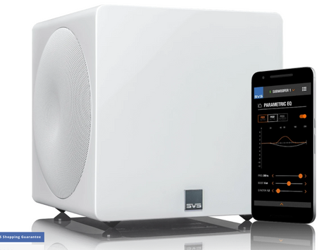 SVS SB3000 Micro Compact Subwoofer