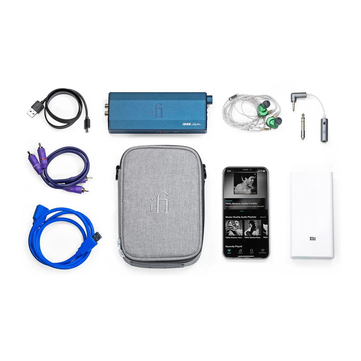 iFi iTraveler DAC+Accessories Carry Case