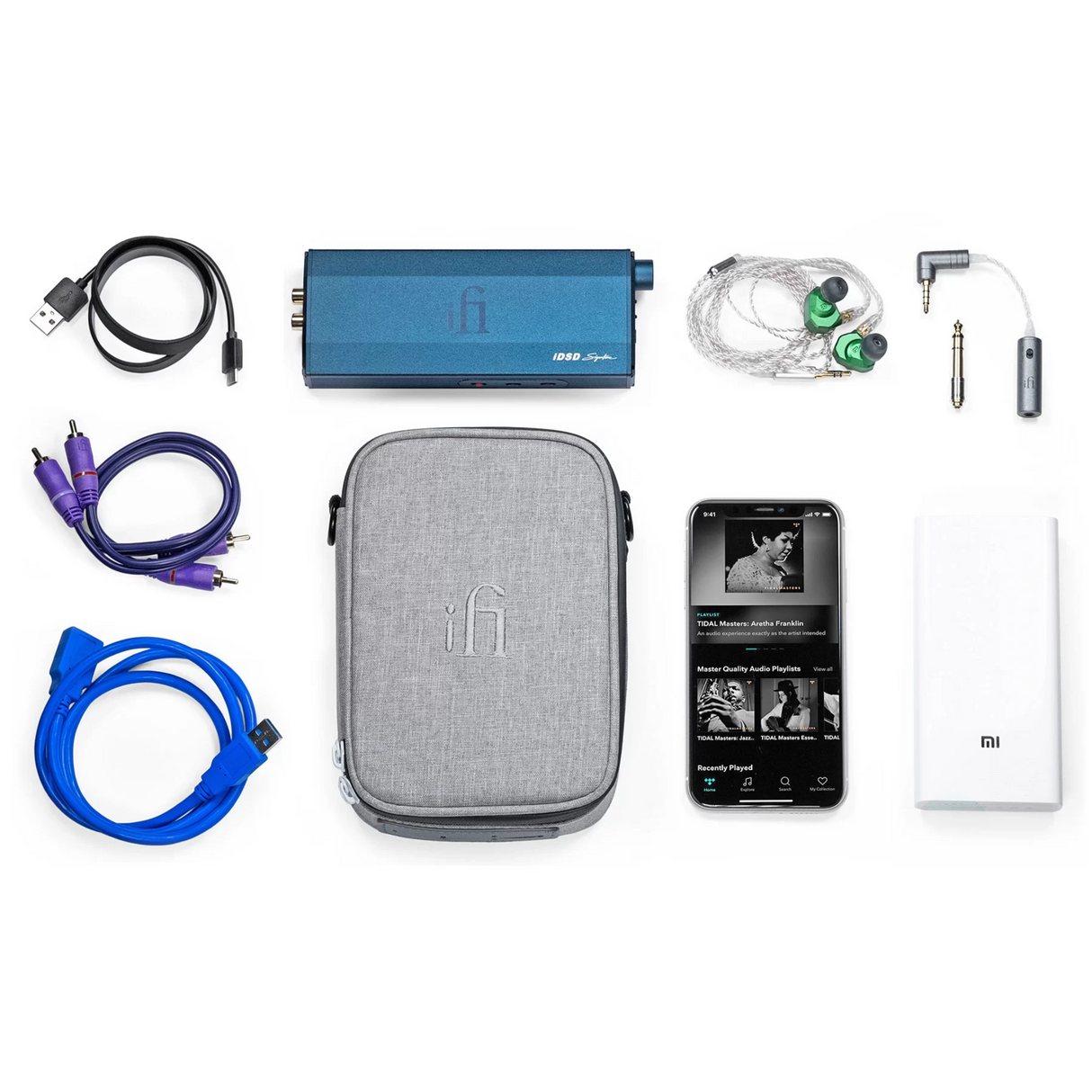 iFi iTraveller case - iTraveller DAC + accessories carry case